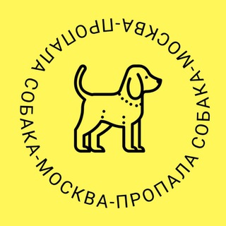Аватар Телеграм каналу "Пропала собака Москва" @dogs_poisk