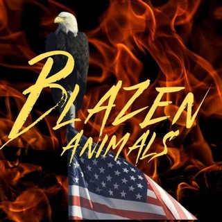 ❤️‍🔥Blazen Animals❤️‍🔥 - TgScanner