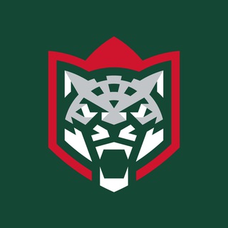 Avatar of Telegram channel "ХК «Ак Барс»" @hc_akbars