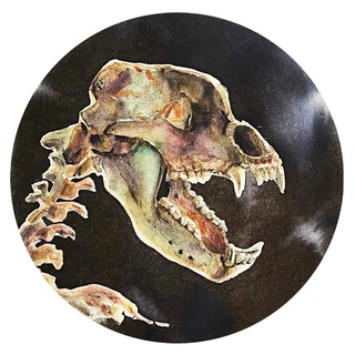 Cave Bear Ural (Уральский пещерный медведь) - TgScanner