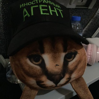 Telegram频道 "Фан-клуб блогера "миутп" по читам в стандоффе2!!!" @miutoh 的头像