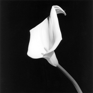 Чёрно-белая фотография - TgScanner