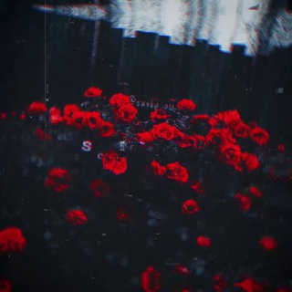 Аватар Телеграм канала "𝐬𝐨𝐯𝐤𝐮𝐬𝐨𝐦🎧 | Музыка | Новинки" @sovkusommi