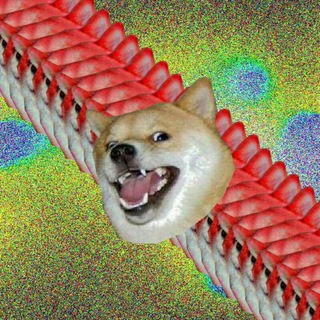 Avatar of Telegram channel "Doguinhos" @dogsestranhos