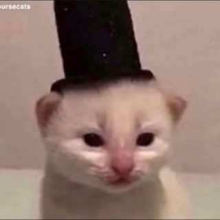 Weird Hambposting - TgScanner