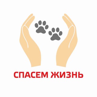 СПАСЕМ ЖИЗНЬ | Волонтерское движение в защиту животных - TgScanner