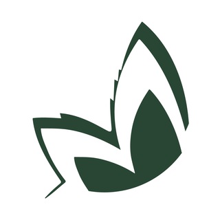 Таволга. Фонд развития науки и культуры - TgScanner