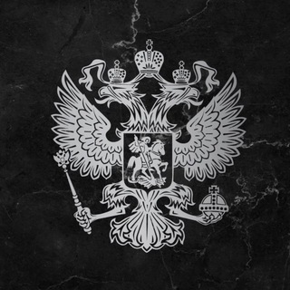 Avatar del canal de Telegram "СОКОЛ 2.0" @+Acxbl5oReKZkNzI6