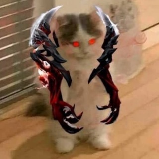 Telegram频道 "dota 2 в схемах и мемах" @kotekidota2 的头像