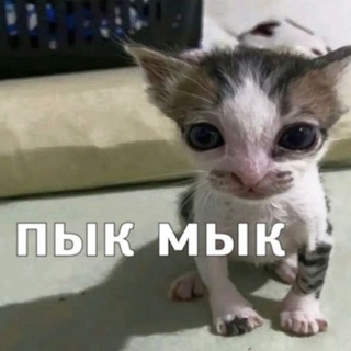 Почеркушки У́жасти - TgScanner