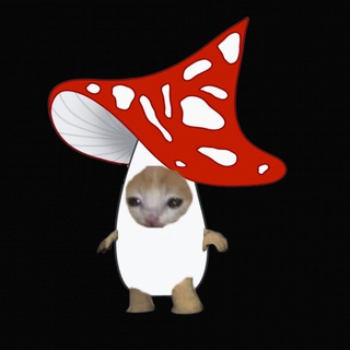 Аватар Телеграм канала "Грибной салат🍄🍄‍🟫" @madam_gribochek