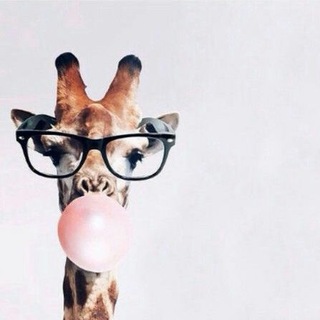 Аватар Телеграм канала "La JIRAFA🦒" @lajirafanoticiera