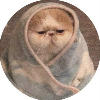 Tripl | темы и языки 🤍 - TgScanner