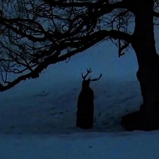 Avatar of Telegram channel "Neofolk, Dark Folk" @neodarkfolk