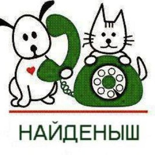 Все и потеряшки животные Узбекистан - TgScanner