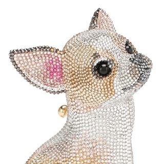 Golden Chihuahua - TgScanner