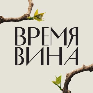 РБК Вино - TgScanner