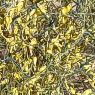 قناة كواشف التاريخ - TgScanner
