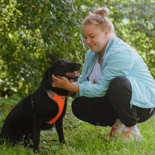 Помощь хвостикам 🐈🐕‍🦺 - TgScanner