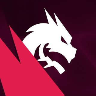 Team Spirit - TgScanner