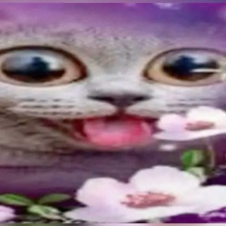 Ежовник лол - TgScanner