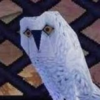В гостях у Дорин 🦉 - TgScanner
