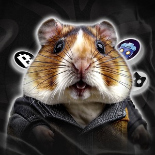 "🔸 Криптовалюты. Новости" @khamsterkombatkombo Telegram арнасының аватары