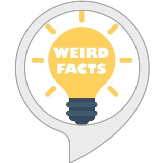 Weird Facts 🧠 - TgScanner