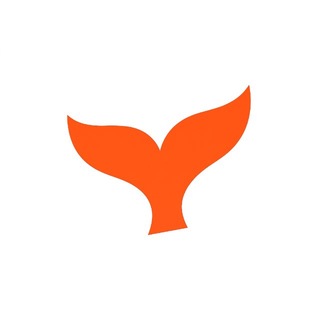 TalentKit | Поддержка - TgScanner