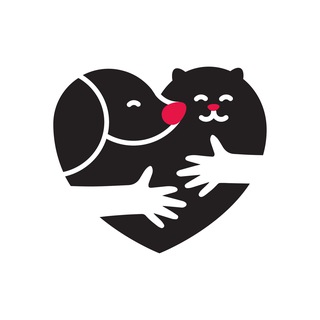 Telegram频道 "БФ Возьми счастье в дом ❤️" @takehappiness 的头像