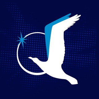 SMP Esports - TgScanner
