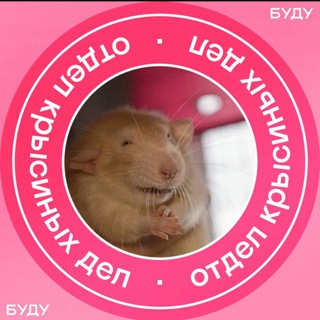 Avatar of Telegram channel "HR | Кофе и вакансии" @symbathr