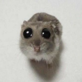 Стикеры | Эмодзи - TgScanner