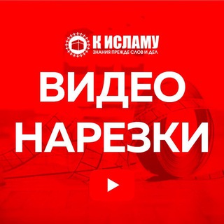 Видео нарезки на актуальные темы - TgScanner