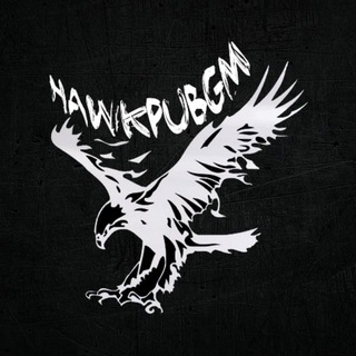 "." @hawkpubg Telegram арнасының аватары
