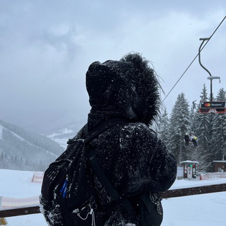 Avatar of Telegram channel "mapt0v" @mapt0vvv