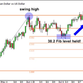 Forex Trading Hub - TgScanner