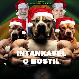 INTANKAVEL O BOSTIL - TgScanner