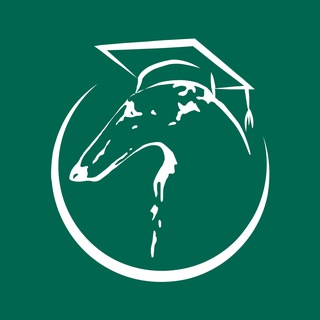 "Образовательный центр РКФ" @rkfacademy Telegram арнасының аватары