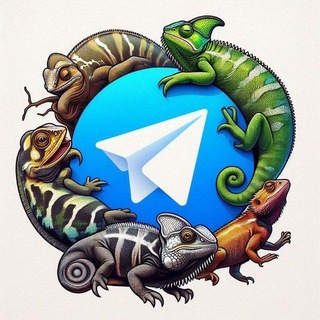 Avatar del canal de Telegram "Reptiles y exóticos España" @granjacamaleon