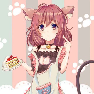 Telegram频道 "Kitty 「我的朋友圈」" @kittythenight 的头像