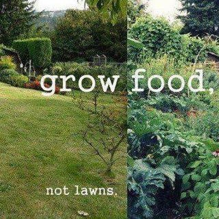 Avatar of Telegram channel "FUCK LAWNS" @fuckgrass