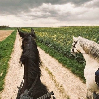 Аватар Телеграм канала "دَهماء🐎" @lam_iaa_z0on