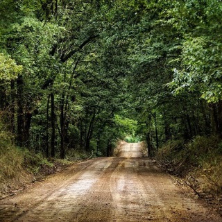 Dirt Road Discussions - TgScanner