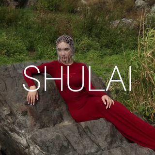 SHULAI - TgScanner