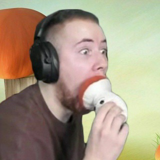 ТикТак - TgScanner