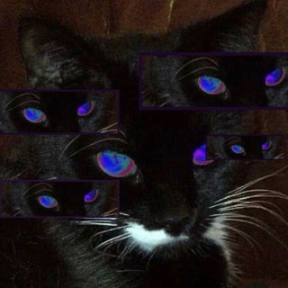 sitandrot - TgScanner
