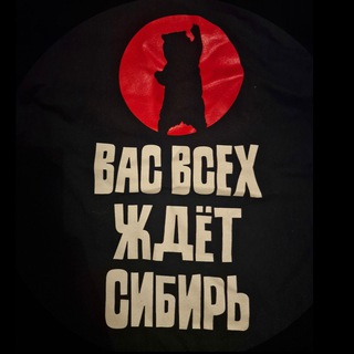 Telegram频道 "Ortega Z 🇷🇺" @niemandswasser 的头像