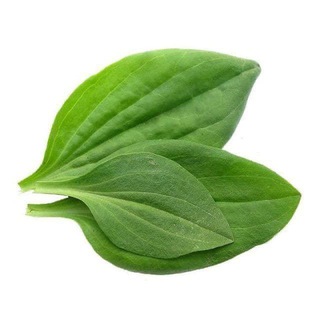 лидер мнений среди удобрений - TgScanner