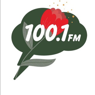 Серебряный Дождь - TgScanner